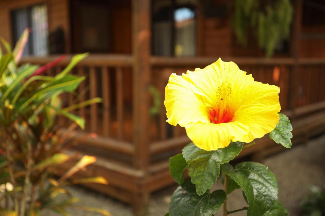 קאוויטה Casa Marcellino Lodge מראה חיצוני תמונה